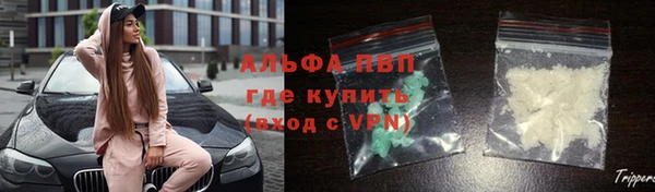 спайс Аркадак