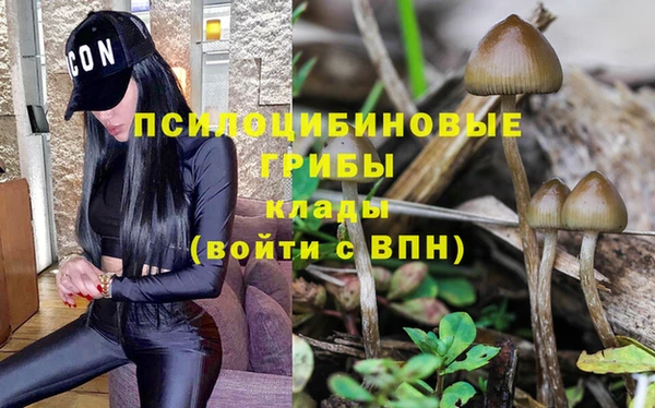 стафф Волоколамск